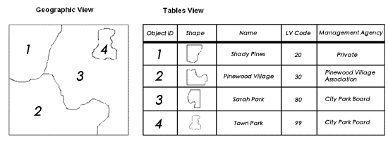 Feature classes are stored as tables with a shape column in the Geodatabase